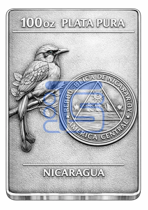 100oz Silver Bar